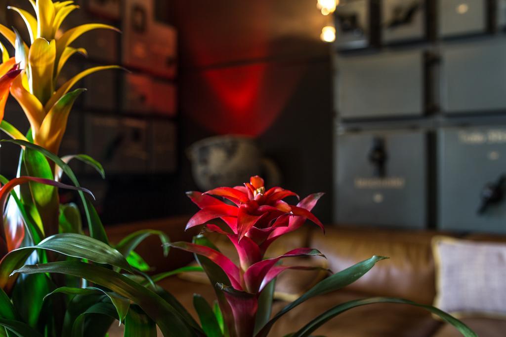 Speicher7 Hotel Mannheim Zewnętrze zdjęcie